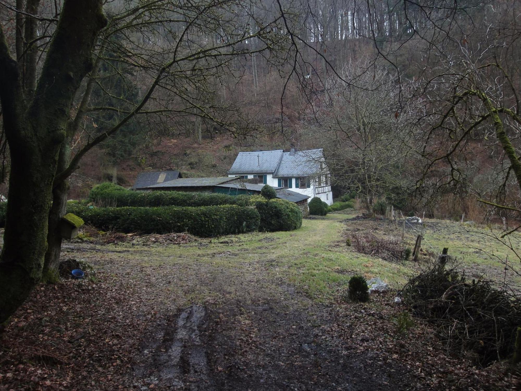 Holiday Home In Kleinich With Sauna ภายนอก รูปภาพ